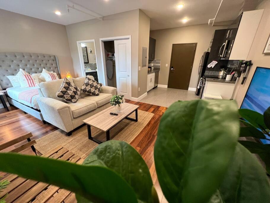 502 Luxury 1br In Center Apartment